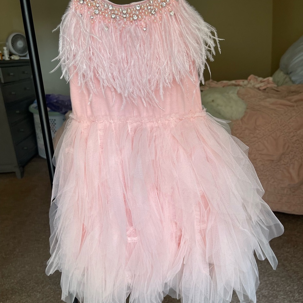 Pink Tulle and Feathers Tutu Du Monde Dress